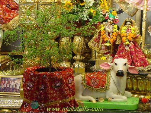 Why Hindus offer food to god