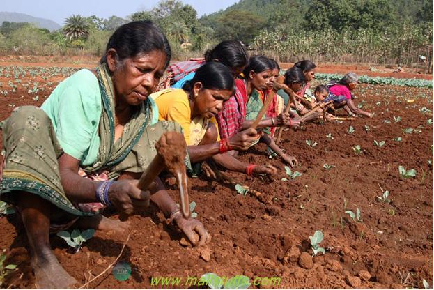 Why Hindus offer food to god