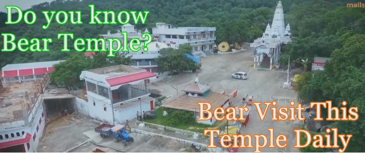 Do you know about Bear temple- Bear visit this temple daily during aarti and return after eating offerings